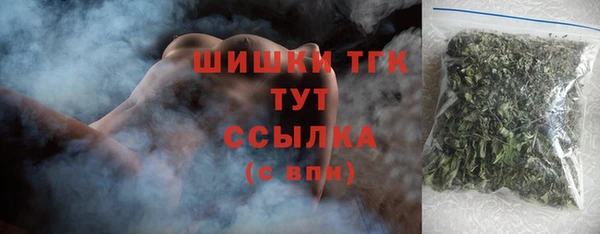 эйфоретик Богданович