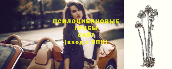 прущие крисы Богородицк