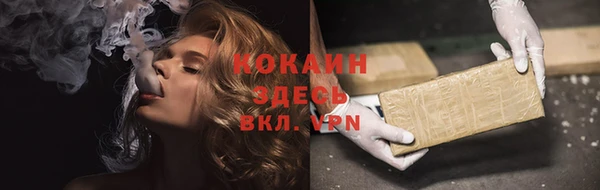 эйфоретик Богданович