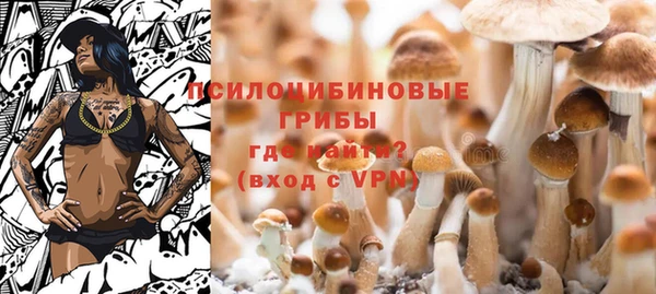 прущие крисы Богородицк