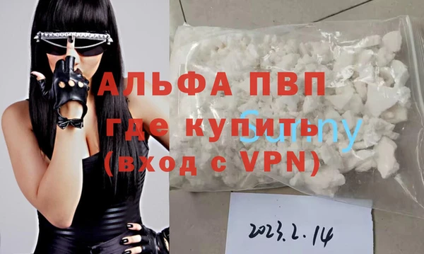 эйфоретик Богданович