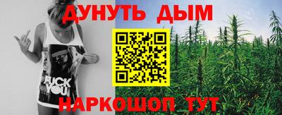 сатива Заводоуковск