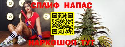 шишки Жуковский