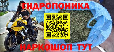шишки Жуковский