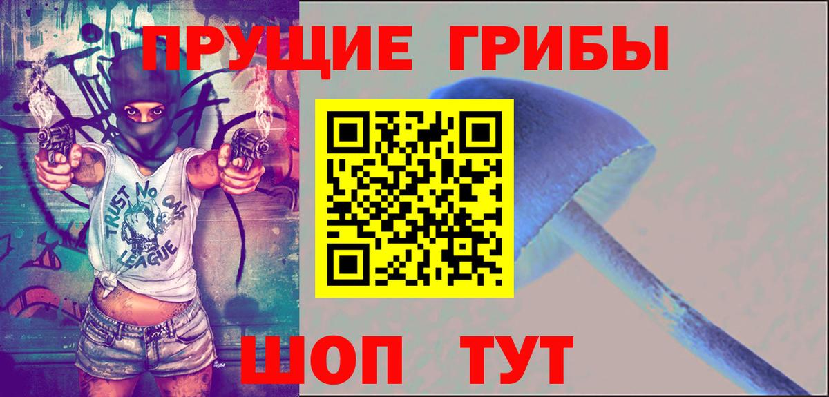 Псилоцибиновые грибы Cubensis  Вход с VPN  Кызыл 